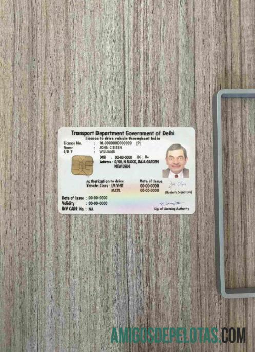 Carta de condução da Índia (Delhi) fotolook frente baixar para verificação